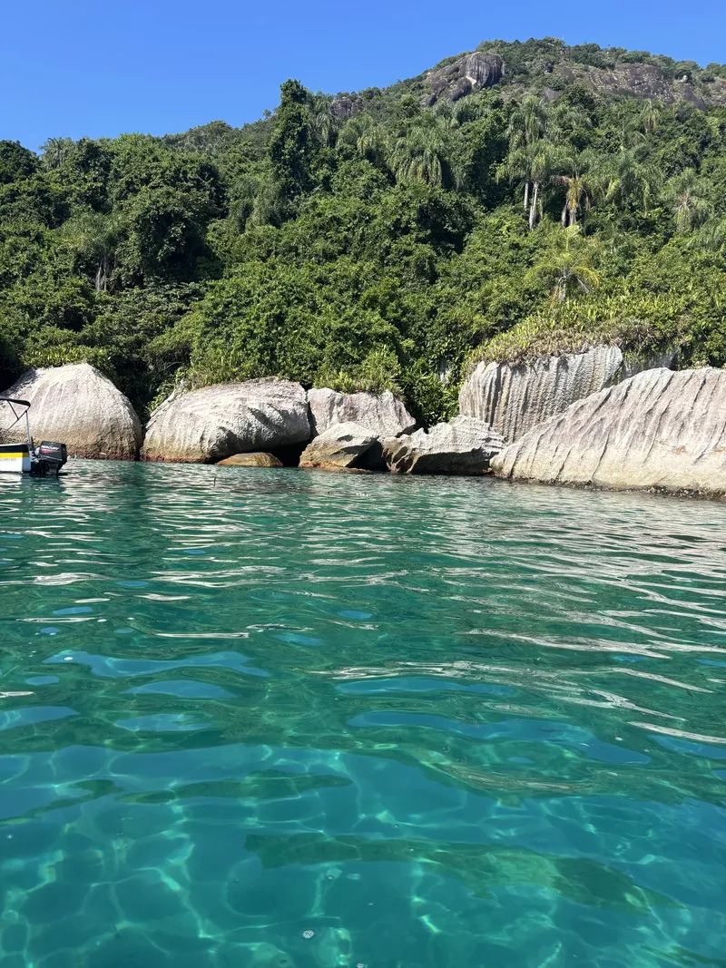 Costão de pedras e mata fechada visto da água, no litoral norte.